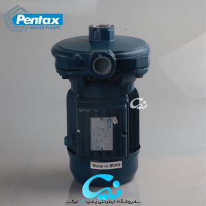 پمپ آب پنتاکس 1 اسب بشقابی CM100.01IR - تصویر 3