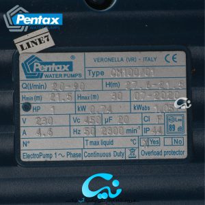 پمپ آب پنتاکس 1 اسب بشقابی CM100.01IR - تصویر 4