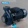 پمپ آب پنتاکس 3 اسب "3 CS300/3 IR