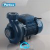 پمپ آب پنتاکس 2 اسب "2 CS200/2 IR