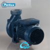 پمپ آب پنتاکس 3 اسب "3 CS300/3 IR - تصویر 2