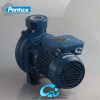 پمپ آب پنتاکس 2 اسب "2 CS200/2 IR - تصویر 2