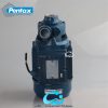 پمپ آب پنتاکس 1 اسب PM80 IR - تصویر 3