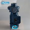 پمپ آب پنتاکس 3 اسب "3 CS300/3 IR - تصویر 3