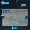 پمپ آب پنتاکس 1 اسب PM80 IR - تصویر 4